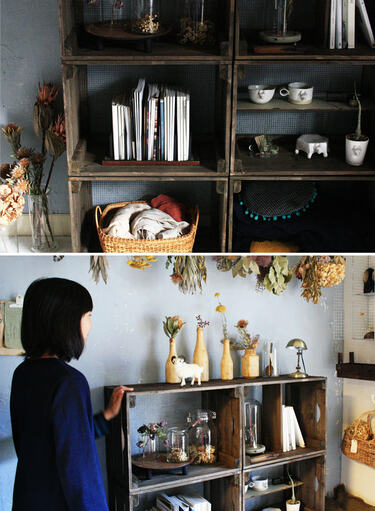 キャベツボックス