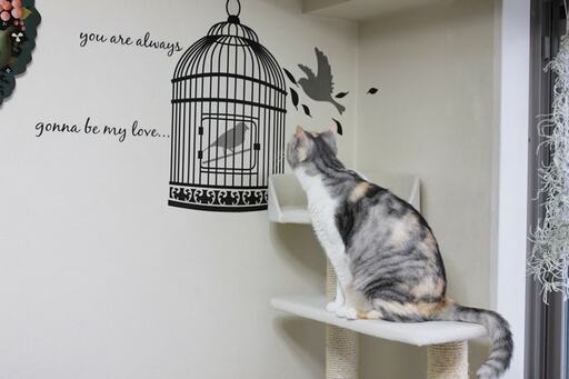 ニトリのウォールステッカー