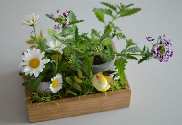 寄せ植えボックス