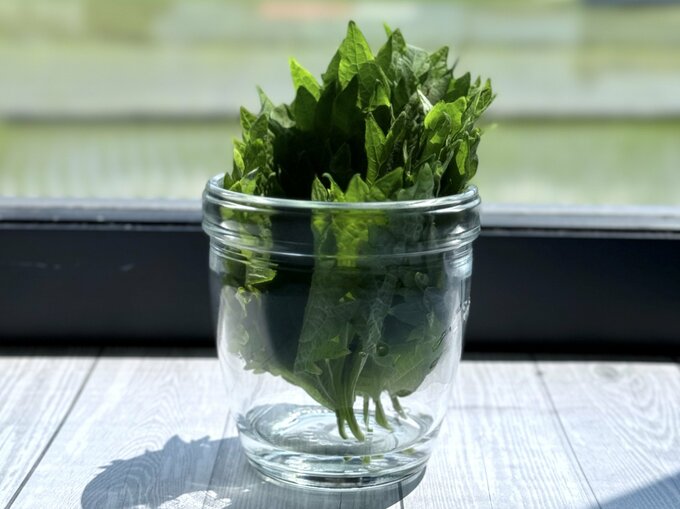 水に挿して保存する場合