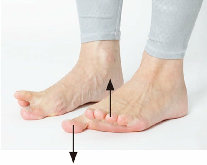 床に立ったまま親指以外の4本の指を上げている両足