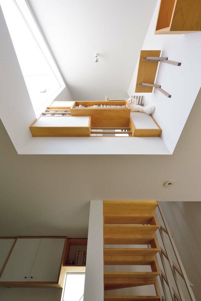 2階から見上げた吹き抜け上部