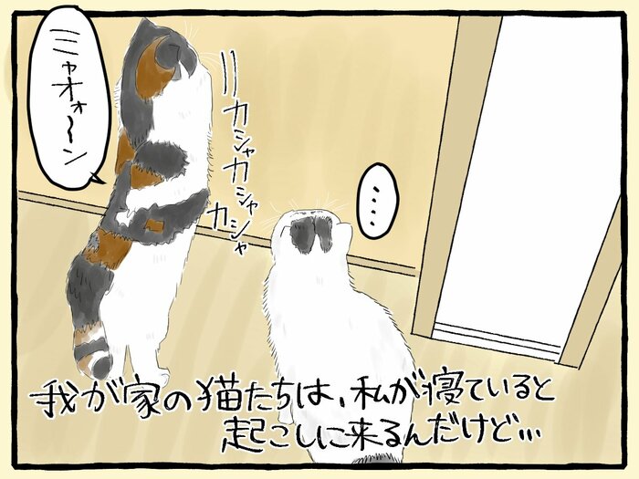 5匹の保護猫と暮らす漫画家・大盛のぞみさん。お掃除ロボを買った