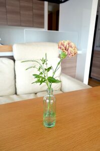 緑を足してリビングに