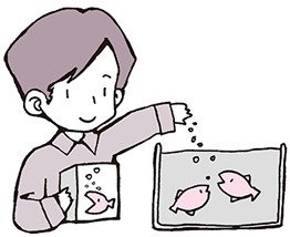 金魚に餌をやる男性