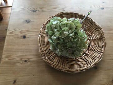 季節の花はカゴやお皿にポンとおくだけで十分おしゃれに