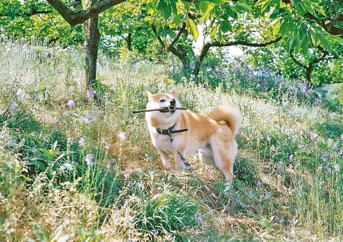 明日の朝はどこに行こうか