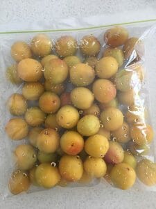 保存袋に入れる