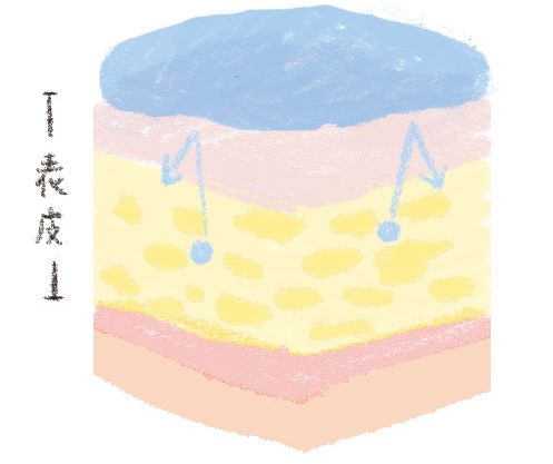 エモリエント肌内部のイメージ