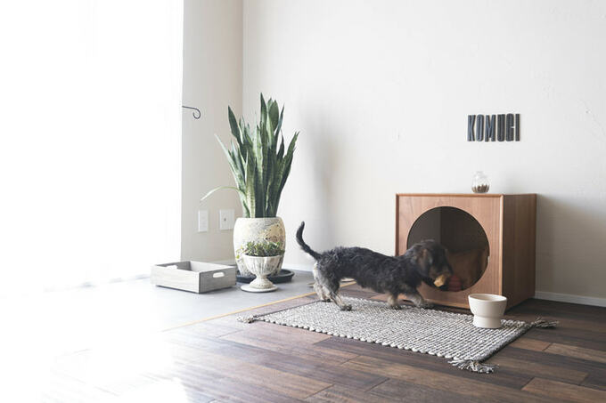 こむぎ用のハウス