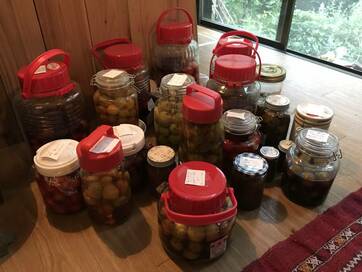 近所でいただいた梅で「梅しごと」。完熟梅でつくるジャムも美味＜暮らしっく＞