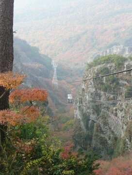 もうすぐ連休！FPに聞く、秋のおでかけ＆レジャー費節約術