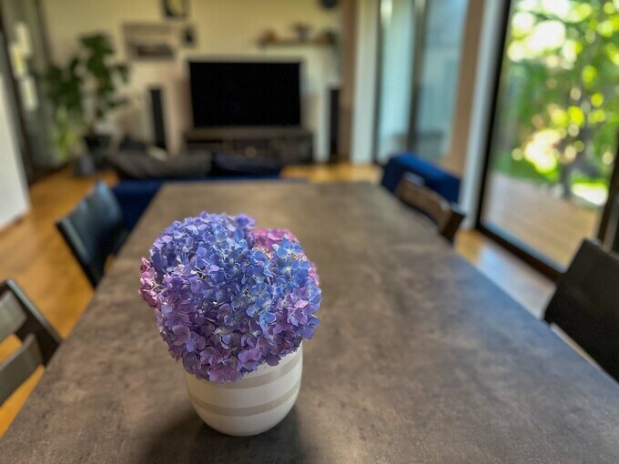 テーブルに飾った紫陽花