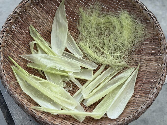 乾燥前 トウモロコシのひげ