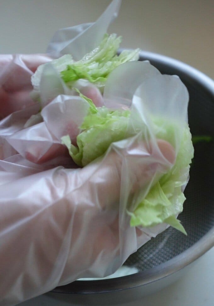 洗ったレタスを手でちぎる