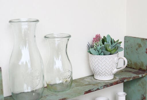 世話いらずでおしゃれな多肉カップを飾った棚