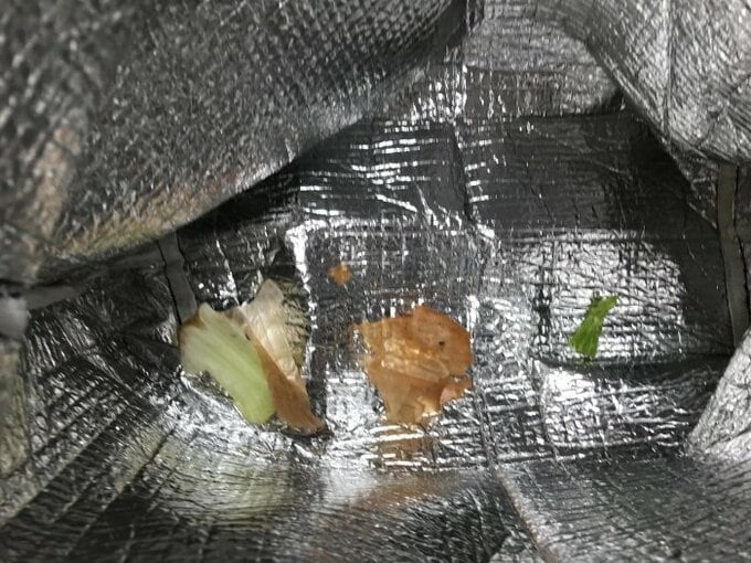 エコバッグの底に野菜くず