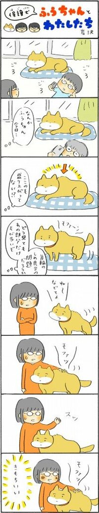 ふうちゃんとわたしたち