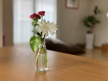 名もなき家事「ラベルはがし」をもっとラクに。ビンは花を活けて再利用