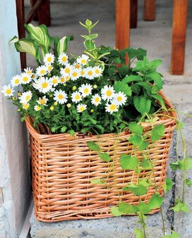 カゴもブーケもオール1000円以下！ナチュラルキッチンのおしゃれ雑貨