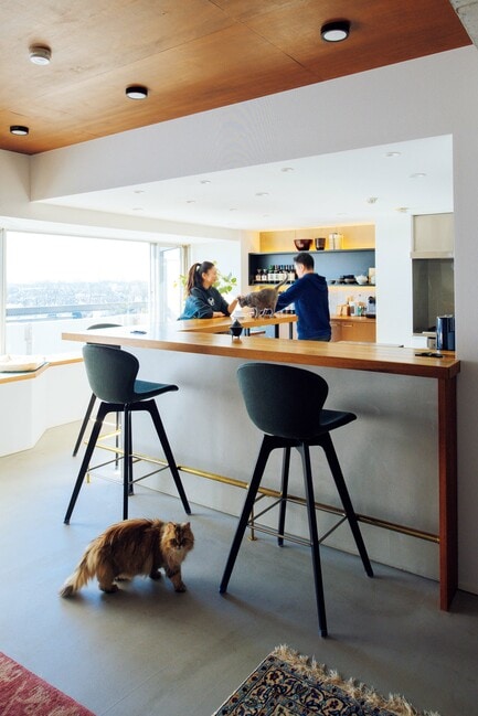 ハイカウンター