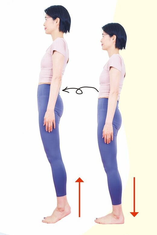 女性が立ってかかとを上げたり下げたりしている様子