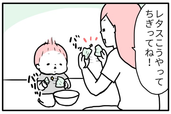 レタスをちぎる