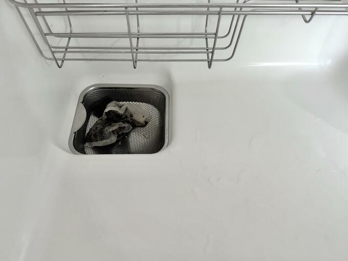 排水口　生ゴミ