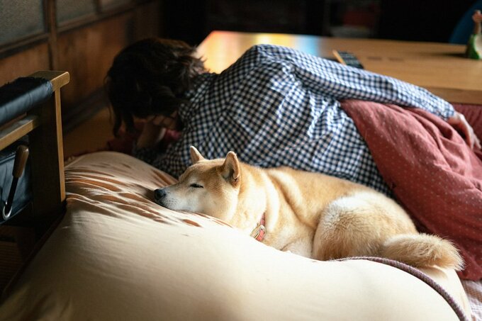 横になる人と眠る犬