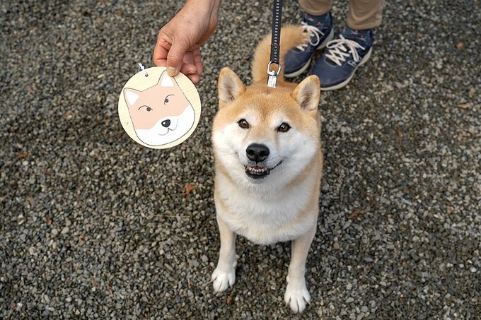 犬と神社へ 母の書いた絵馬は本物そっくりかも Inubot回覧板 Esseonline エッセ オンライン