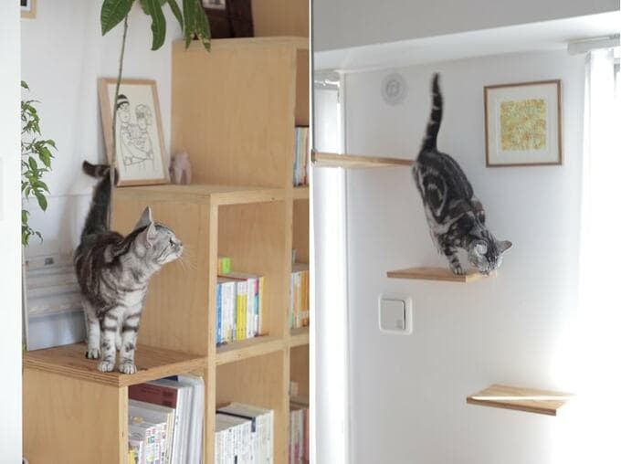 キャットウォーク兼用の本棚