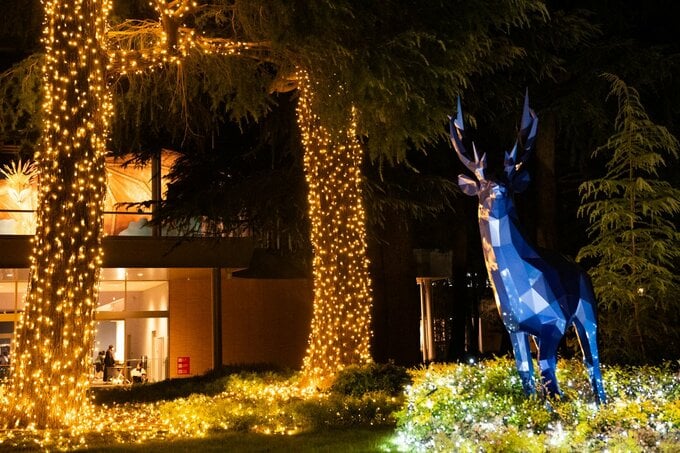 屋外（エクステリア） ライトアップ