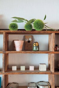 丸く成長した青い栗のイガは期間限定の楽しみ