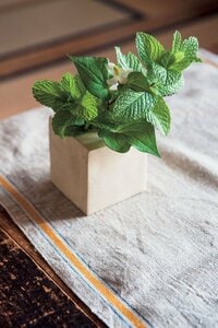 庭の草花を食卓に飾る