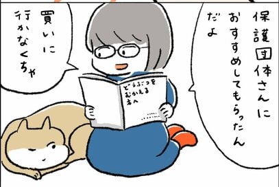 保護犬の初めてのお散歩でも活躍！飼い主も犬も安心の便利グッズ