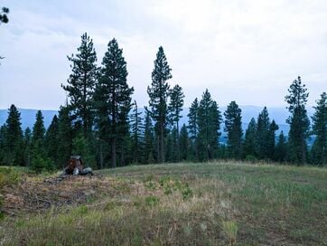 アメリカにも「花粉症」は存在する？いちばん多いアレルギーとは