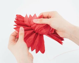 端からはがすようにして、中央に向かって1枚ずつ持ち上げていく