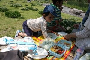公園でピクニックをする