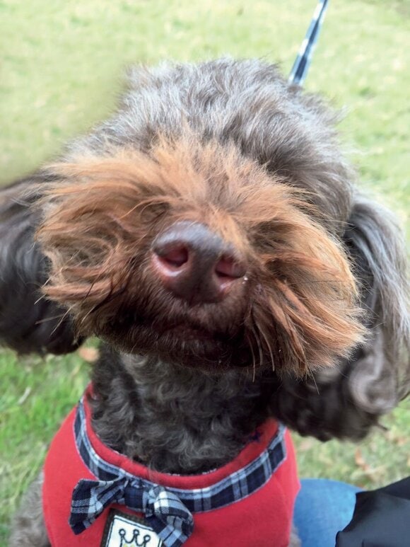 特徴のある部分にさらに寄って撮る