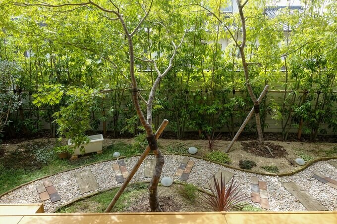 2年目の夏を迎えた庭