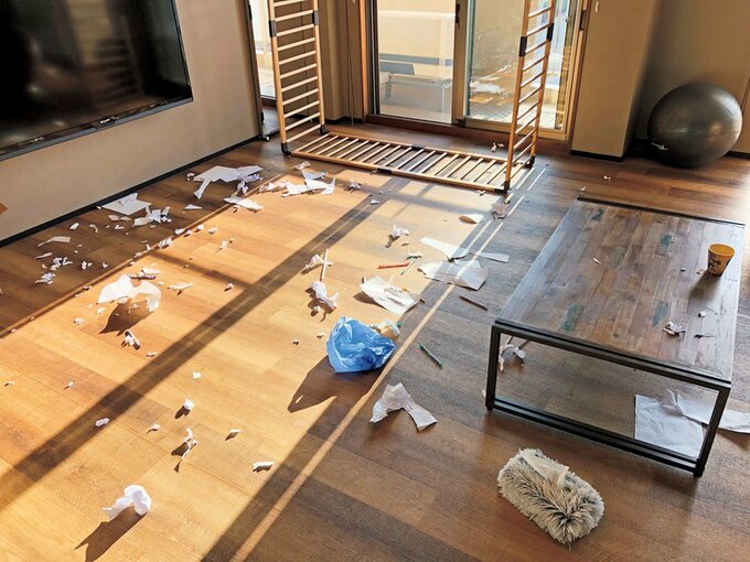 紙ごみのおちたリビング