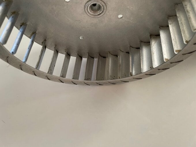 汚れが落ちた羽