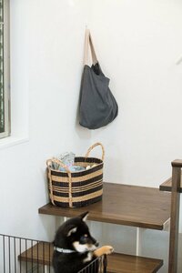 ット用品はケージの近くに