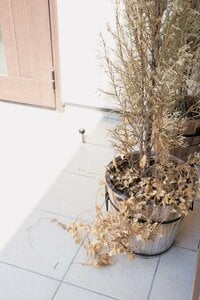 玄関は家の顔。運を招く環境を整えて【玄関】