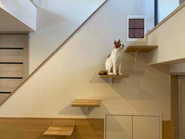 猫4匹のために新築の間取りを考えたらこうなった！みんな自由にの〜びのび