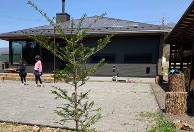 平屋の間取りを「広いLDK＆狭い子ども部屋」に。50代からの暮らしを意識した家づくり