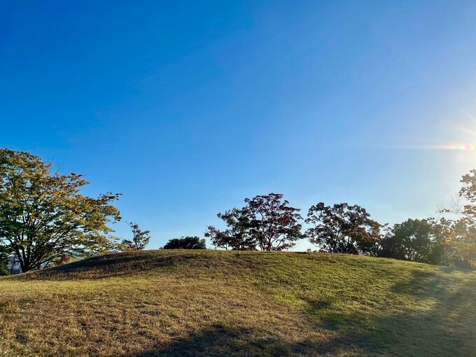 せのおさん提供画像