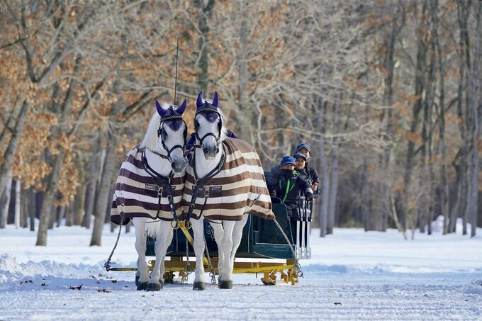 馬ソリイメージ