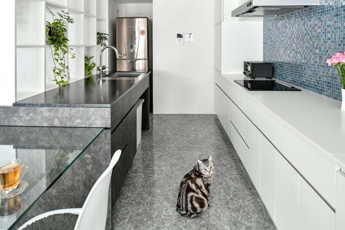 キッチンの大理石調の床と猫