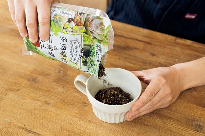 多肉植物の土をポットに入れる